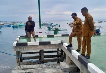 Kepala DKP Turun Tinjau Lokasi Ambruknya Fasilitas KNMP Leato