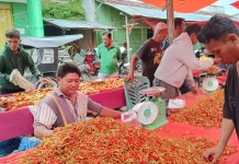 Update Info Pasar 19 Mei 2026