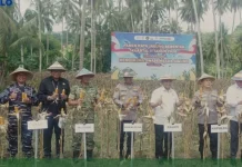 BRMP Gorontalo Hadiri Panen Raya Jagung Serentak Kuartal II