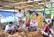 Gubernur Gorontalo Usul Sentra Rumput Laut Ilodulunga Dibangun KNMP