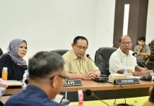 APBD Gorontalo Lampaui Target, Gusnar Awasi Proyek Strategis