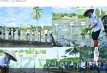 Bupati Pohuwato dan Pangdam XIII Tanam Padi di Randangan