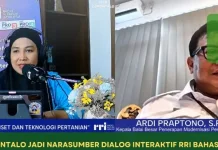 BRMP Gorontalo Dorong Hilirisasi dan Modernisasi Pertanian