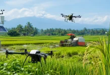 Petani Gorontalo Nilai Teknologi Pertanian Digital Masih Minim