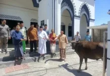 di Kabupaten Gorontalo, 3.054 Hewan Kurban Akan disebelih saat Iduladha 1447 H