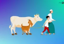 Waktu Penyembelihan Hewan Kurban