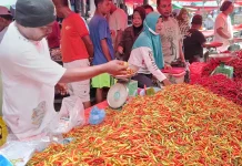 Update Harga Barito di Pasar Telaga