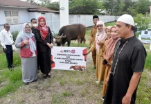 Bank SulutGo Salurkan Sapi Kurban untuk Masjid Agung Suwawa