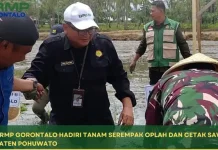 Cetak Sawah Rakyat di Pohuwato Capai 867 Hektare