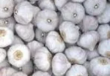 Manfaat Bawang Putih bagi Kesehatan