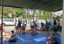 Iduladha 1447 Hijriah, Masjid Nurul Jannah Sembelih Tiga Sapi Kurban