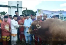 Masjid Agung Baiturrahim Pohuwato Terima Sapi Kurban dari Presiden