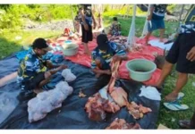 Tiga Ekor Sapi Disembelih BKAD Provinsi Goorntalo