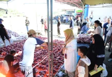 Wagub Apresiasi Penyembelihan 101 Ekor Sapi Kurban di Gorontalo