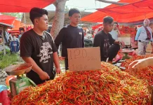 Update Harga Pasar: Cabai Rawit Tembus Rp120 Ribu per Kilogram