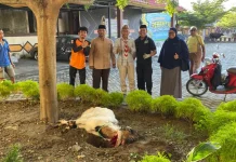 Semangat Kurban Kwarda Gorontalo Sambut Jambore Nasional 2026