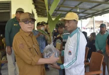 Ratusan Ribu Bibit Kelapa Bantuan Kementan RI Mulai Disalurkan di Kabgor