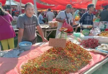 Harga Cabai Rawit di Pasar Andalas Turun, Bawang Merah Naik