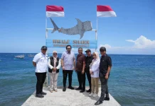Pansus DPRD Gorontalo Tinjau Potensi Retribusi Wisata Hiu Paus Botubarani