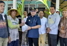 Pemerintah Salurkan 2.300 Bibit Kelapa di Pulubala