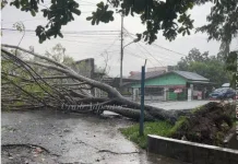 BPBD Kota Gorontalo Minta Warga Waspadai Cuaca Ekstrem