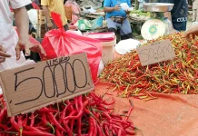 Harga Cabai Rawit Tembus Rp100 Ribu per Kilogram di Pasar Andalas