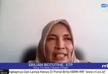 Minat Petani Hambat Pengembangan Umbi Lokal
