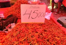 Update Harga Pasar Andalas Kota Gorontalo 10 Juni 2026