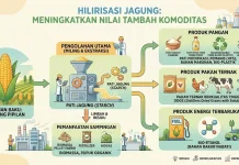 PENAS KTNA 2026 Jadi Ajang Transfer Teknologi dan Penguatan Hilirisasi Jagung