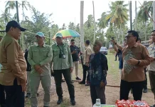 Pastikan Bibit Kelapa Siap Disalurkan, Gusnar Tinjau Lokasi Pembibitan di Batudaa