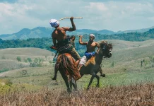 Mengenal Pasola Tradisi Unik Masyarakat Sumba yang Mendunia