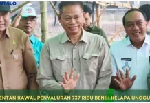 Kementan Siapkan 737 Ribu Benih Kelapa untuk Gorontalo