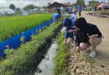 DKPTPH Gorontalo Kerja Bakti Siapkan Lokasi Gelar Teknologi PENAS XVII