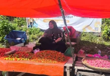 Harga Cabai Rawit Tembus Rp120 Ribu per Kilogram di Pasar Potanga