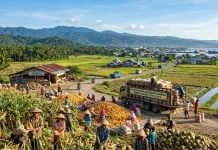 BPS: Pertanian Masih Jadi Penopang Utama Perekonomian Gorontalo