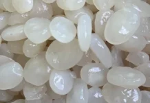 Kolang-Kaling, Si Kenyal Kaya Nutrisi