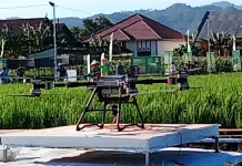 Kementan Apresiasi Kesiapan Gelar Teknologi PENAS XVII Gorontalo