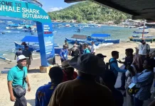 Wisata Hiu Paus DIserbu Ribuan Peserta PENAS XVII
