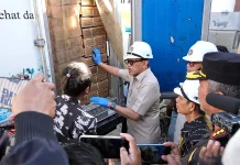Kelapa Parut Gorontalo Tembus Pasar Eropa, Barantin Beri 'Karpet Merah' Hilirisasi