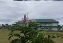 Sambut Hangat Pemkab, Kasdim 1313 Siap Bangun Sinergi Kuat