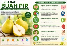 Khasiat Buah Pir untuk Kesehatan, Kaya Serat dan Baik untuk Pencernaan