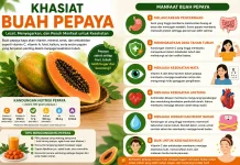 Khasiat Buah Pepaya bagi Kesehatan, Baik untuk Pencernaan