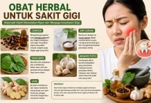 Obat Herbal untuk Sakit Gigi, Alternatif Alami Meredakan Nyeri