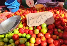 Harga Tomat Turun, Harga Rica di Pasar Andalas Masih Variatif