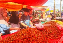 Cabai Rawit Dorong Inflasi Gorontalo Tembus 2,11 Persen