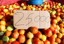 Harga Tomat Naik di Pasar Jumat Telaga, Komoditas Lain Relatif Stabil