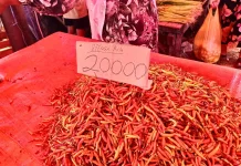 Pantauan Harga Pasar Andalas: Tomat Naik, Rica Turun