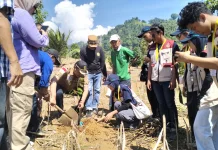 Saat Reses, Ridwan Monoarfa Tanam Pohon Bersama Mahasiswa KKN UGM