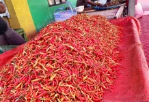 Harga Bawang Merah Turun, Harga Ikan Naik di Pasar Kayubulan