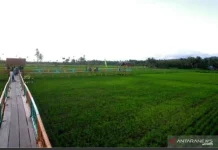Pemkab Pohuwato Usulkan JIAT untuk Atasi Kekurangan Air Irigasi